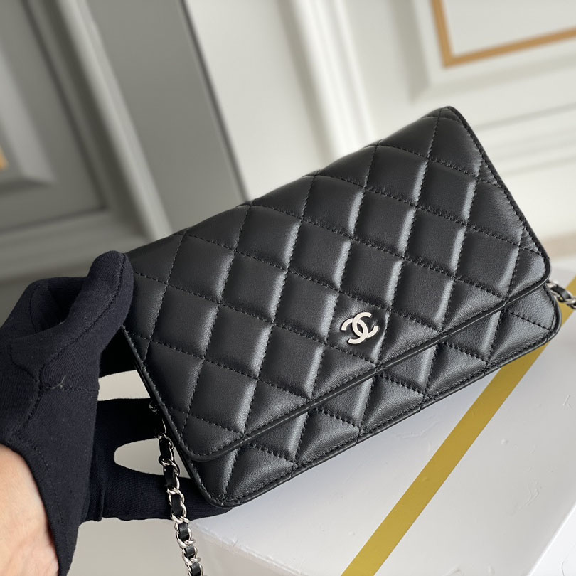 Chanel WOC Bags - Click Image to Close